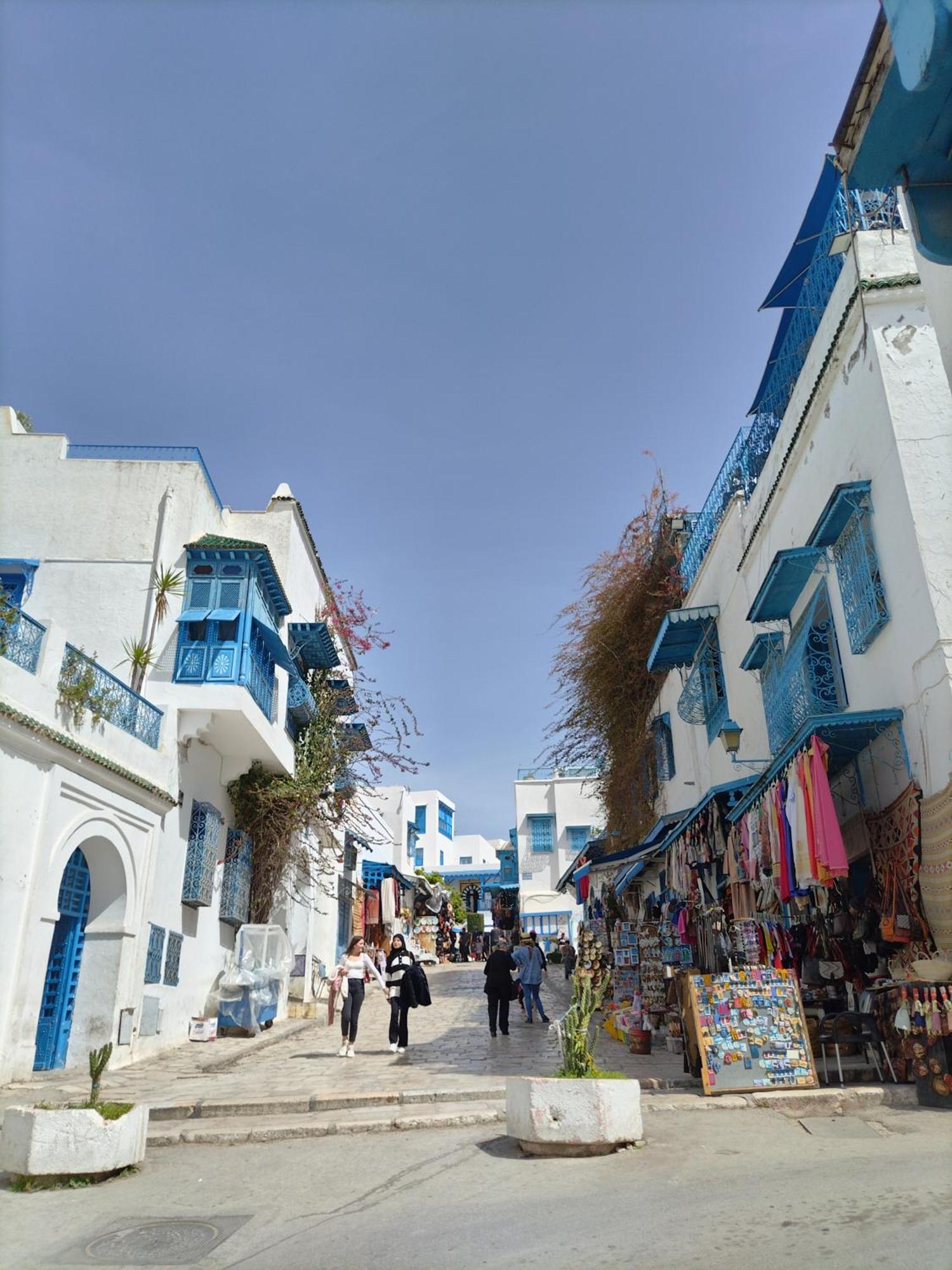 Marsa - Sidi Bousaid Lovely Authentic Apartment La Marsa Exteriör bild