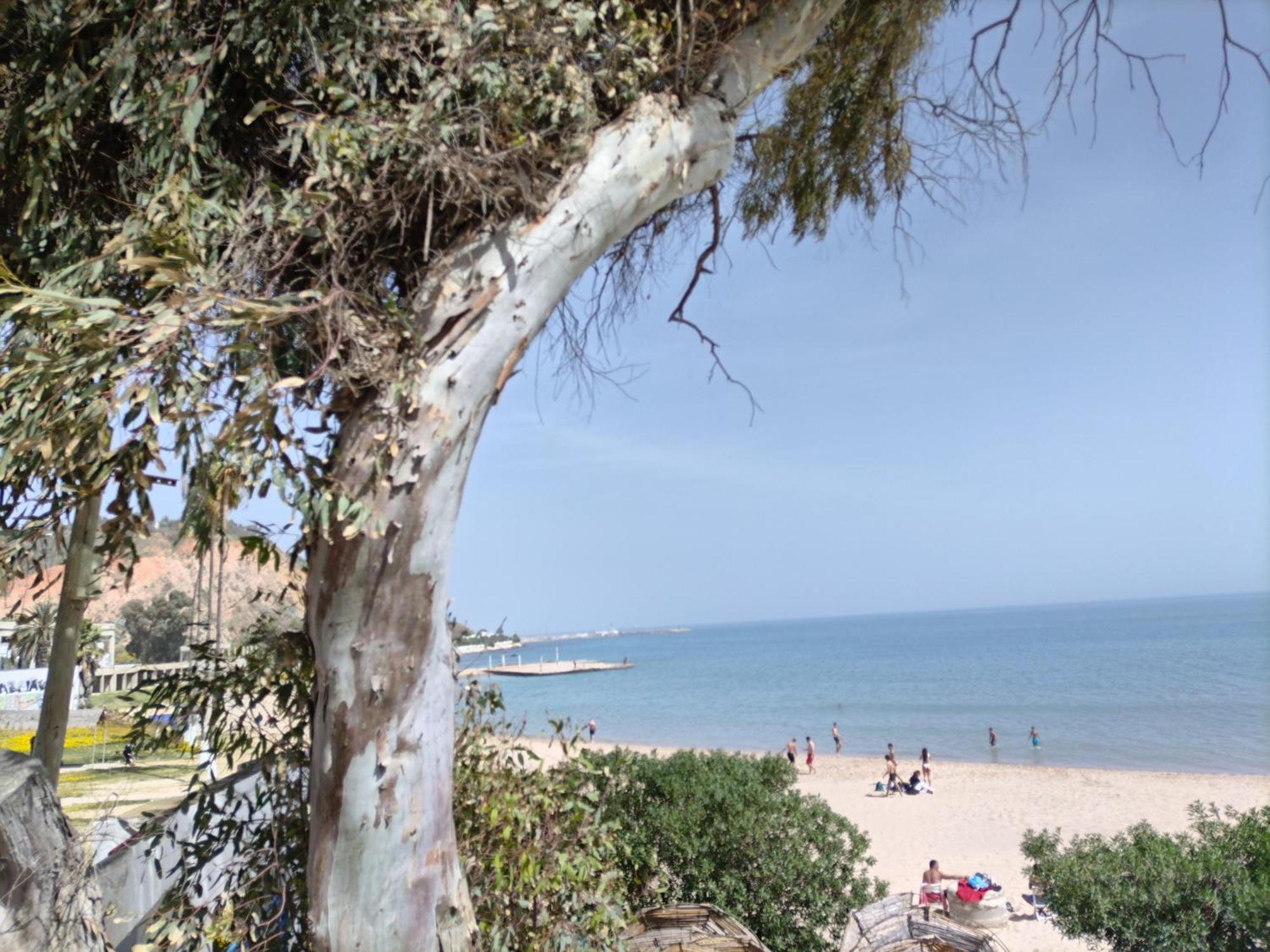 Marsa - Sidi Bousaid Lovely Authentic Apartment La Marsa Exteriör bild